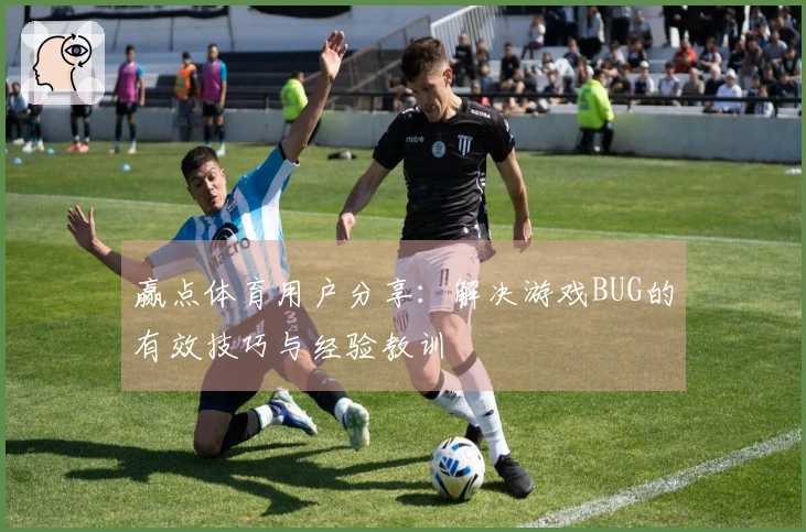 赢点体育用户分享：解决游戏BUG的有效技巧与经验教训
